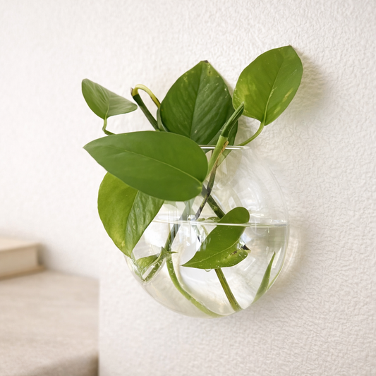 Vaso Decorativo Montagem na Parede de Vidro Flat Transparente