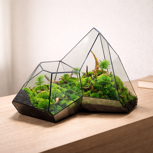 Terrário Mini Jardim| Suporte Metálico| Vidro Geométrico