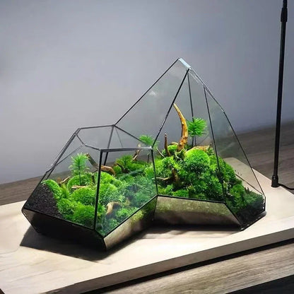 Terrário Mini Jardim| Suporte Metálico| Vidro Geométrico