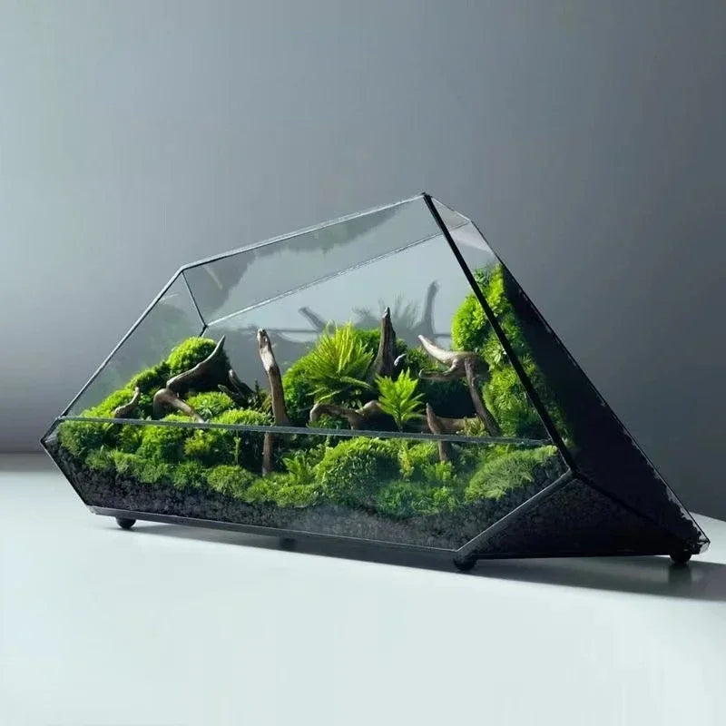 Terrário Mini Jardim| Suporte Metálico| Vidro Geométrico